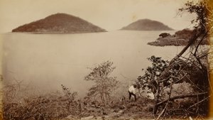 Perico und Flamenco - von der Insel Naos, Panama von Eadweard Muybridge