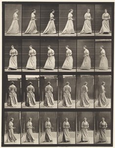 Drehen und Treppensteigen von Eadweard Muybridge
