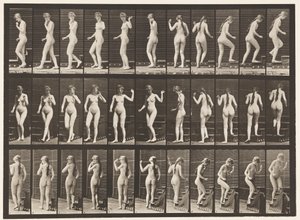 Tafel 101. Treppensteigen, winkende Hand von Eadweard Muybridge