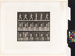 Tafel 10. Gehen von Eadweard Muybridge