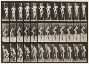 Tafel 112. Leiter hinaufsteigen von Eadweard Muybridge