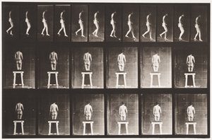 Tafel 118. Steigung hinabsteigen