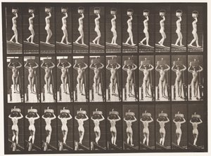 Tafel 124. Abstieg, 20-Pfund-Korb auf dem Kopf, erhobene Hände von Eadweard Muybridge