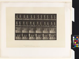 Tafel 12. Gehen von Eadweard Muybridge