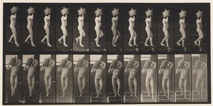 Tafel 136. Treppenabstieg, voller Demijohn auf der Schulter von Eadweard Muybridge
