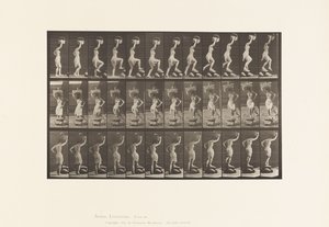 Tafel 179. Auf und über einen Felsen steigen, ein Korb auf dem Kopf von Eadweard Muybridge
