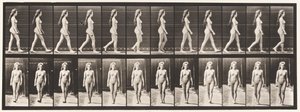 Tafel 17. Gehen, 1872-1885 von Eadweard Muybridge