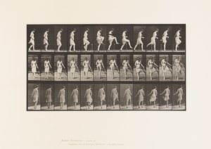 Tafel 181. Über einen Zaun steigen von Eadweard Muybridge