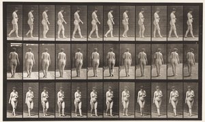 Gehen, linke Hand über dem Bauch von Eadweard Muybridge