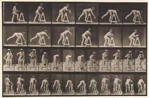 Tafel 203. Sich über ein Gestell beugen mit Wasserkrug von Eadweard Muybridge