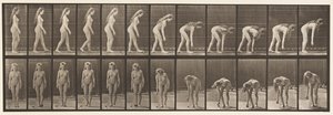 Tafel 204. Anhalten, um einen Ball aufzuheben von Eadweard Muybridge