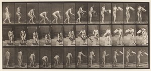 Tafel 213. Korb heben und leeren von Eadweard Muybridge