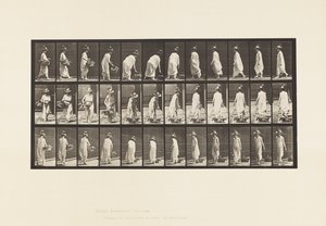 Platte 229. Korb auf den Boden stellen und Drehen