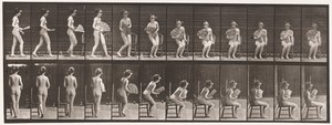 Auf Stuhl sitzen und Fächer öffnen von Eadweard Muybridge