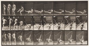 Tafel 261. In die Hängematte steigen von Eadweard Muybridge