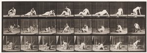 Tafel 266. Sich drehen und Position ändern, während man noch auf dem Boden ist von Eadweard Muybridge