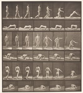 Tafel 272. Stolpern und auf den Boden fallen von Eadweard Muybridge