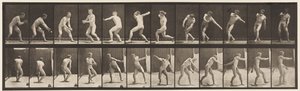 Tafel 284. Baseball; Fangen und Werfen