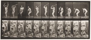 Tafel 308. Den Hammer werfen von Eadweard Muybridge