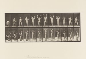 Tafel 322. Mann, der Hanteln hebt von Eadweard Muybridge