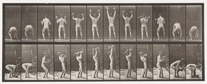 Tafel 323. Heben und Senken von zwei 50-Pfund-Hanteln von Eadweard Muybridge