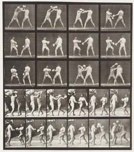 Tafel 334. Boxen; mit Handschuhen (Schuhe)