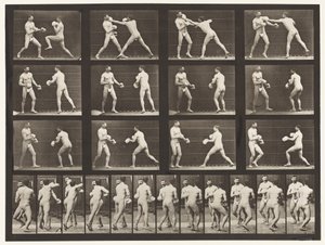 Tafel 335. Boxen; Mit Handschuhen