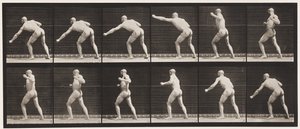 Tafel 343. Einen Schlag ausführen (linke Hand) von Eadweard Muybridge