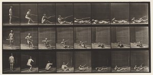 Tafel 358. Auf dem Rücken liegend und schießend, 1872-1885 von Eadweard Muybridge