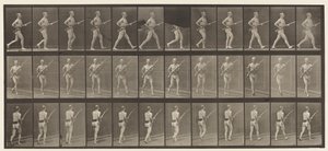 Tafel 359. Bajonettangriff, 1872-1885 von Eadweard Muybridge