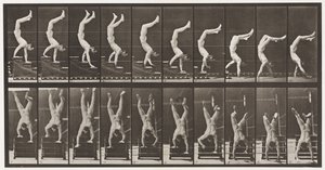 Tafel 368. Akrobat, Treppe auf Händen hinuntergehen von Eadweard Muybridge