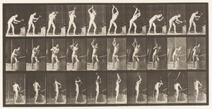 Tafel 378. Schmied, Hämmern auf dem Amboss, zwei Hände von Eadweard Muybridge