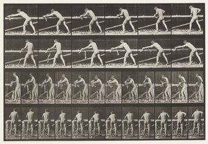 Tafel 379. Zimmermann, ein Brett hobeln, 1872-1885 von Eadweard Muybridge