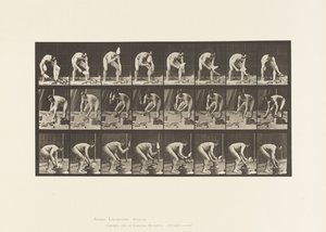 Maurer, einen Ziegel legen von Eadweard Muybridge