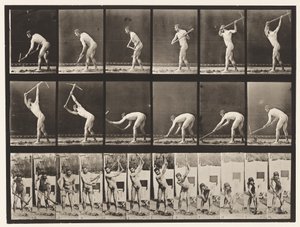 Tafel 385. Bauer, mit einer Hacke, 1872-1885 von Eadweard Muybridge