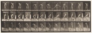 Tafel 387. Bauer, der eine Langstielschaufel benutzt von Eadweard Muybridge