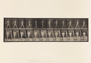 Tafel 389. Bauer, der Samen streut, 1872-1885 von Eadweard Muybridge