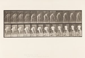 Tafel 390. Bauer, Gras mähen von Eadweard Muybridge