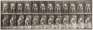 Tafel 391. Bauer, der Gras mäht von Eadweard Muybridge