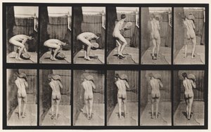 Tafel 397. Einen 75-Pfund-Stein auf die Schulter heben, 1872-1885 von Eadweard Muybridge