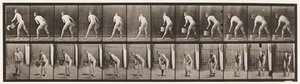 Tafel 398. Einen Eimer Wasser heben und leeren von Eadweard Muybridge