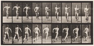 Gehen von Eadweard Muybridge