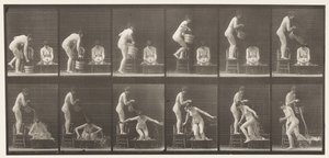 Tafel 406. Zwei Modelle, 8 gießen einen Eimer Wasser über 1 von Eadweard Muybridge