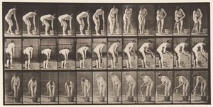 Tafel 433. Kleidung auswringen von Eadweard Muybridge