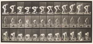 Tafel 442. Bücken und einen Stein auf dem Boden rollen von Eadweard Muybridge