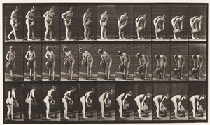 Tafel 446. Krug auf dem Boden aus einem Wasserkrug füllen von Eadweard Muybridge