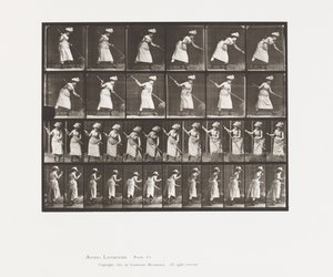 Tafel 456. Heu rechen, 1885 von Eadweard Muybridge