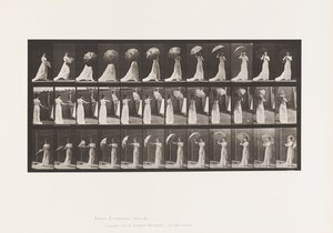 Tafel 461. Einen Sonnenschirm öffnen und sich umdrehen