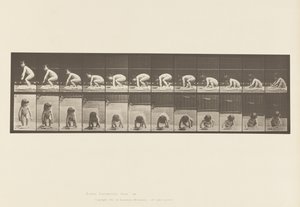 Tafel 479. Kind, das vom Boden aufsteht von Eadweard Muybridge