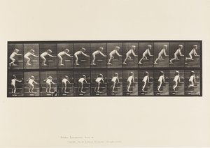 Tafel 480. Kind, Gehen und Krabbeln die Treppe hinauf von Eadweard Muybridge